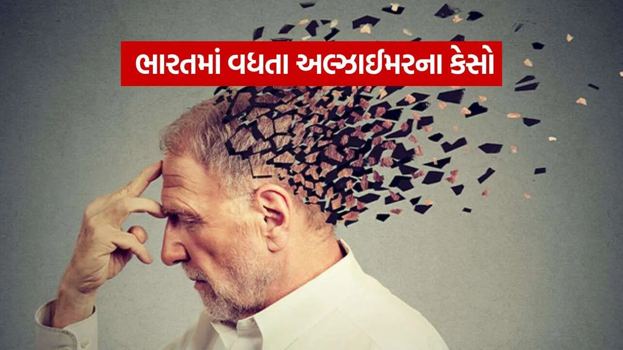Alzheimer 2009.jpg