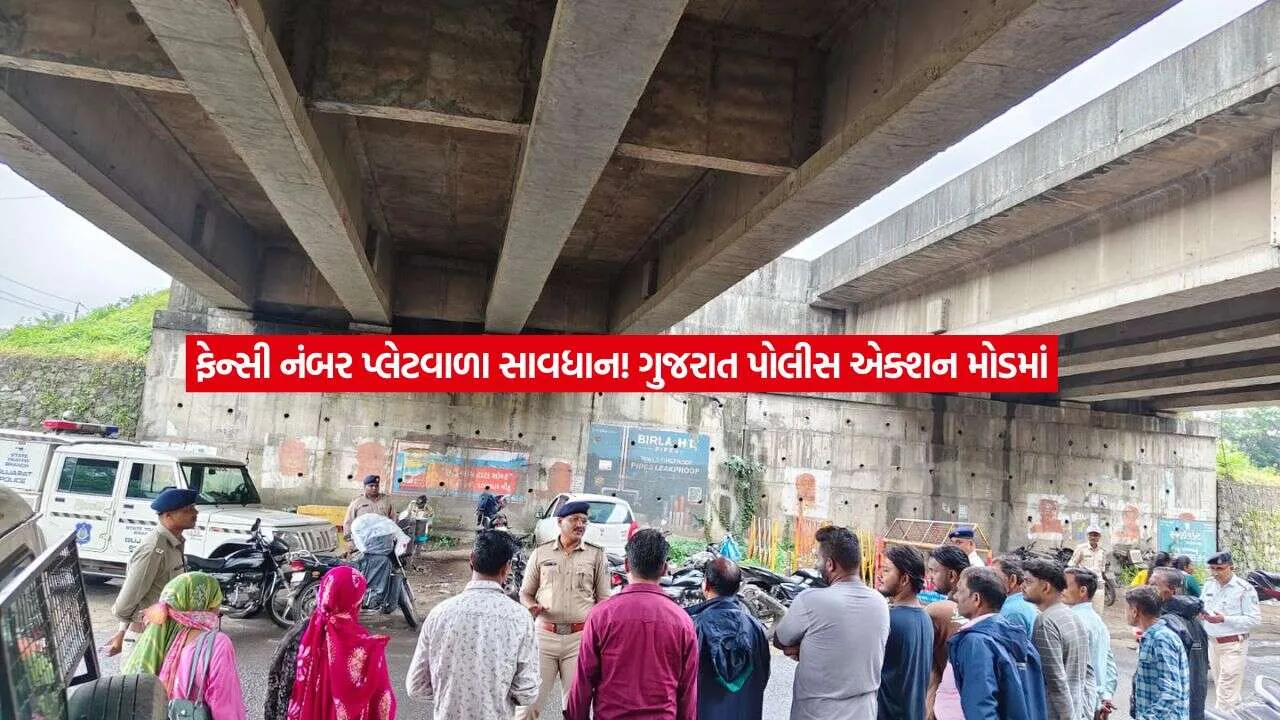 gujarat3.jpg
