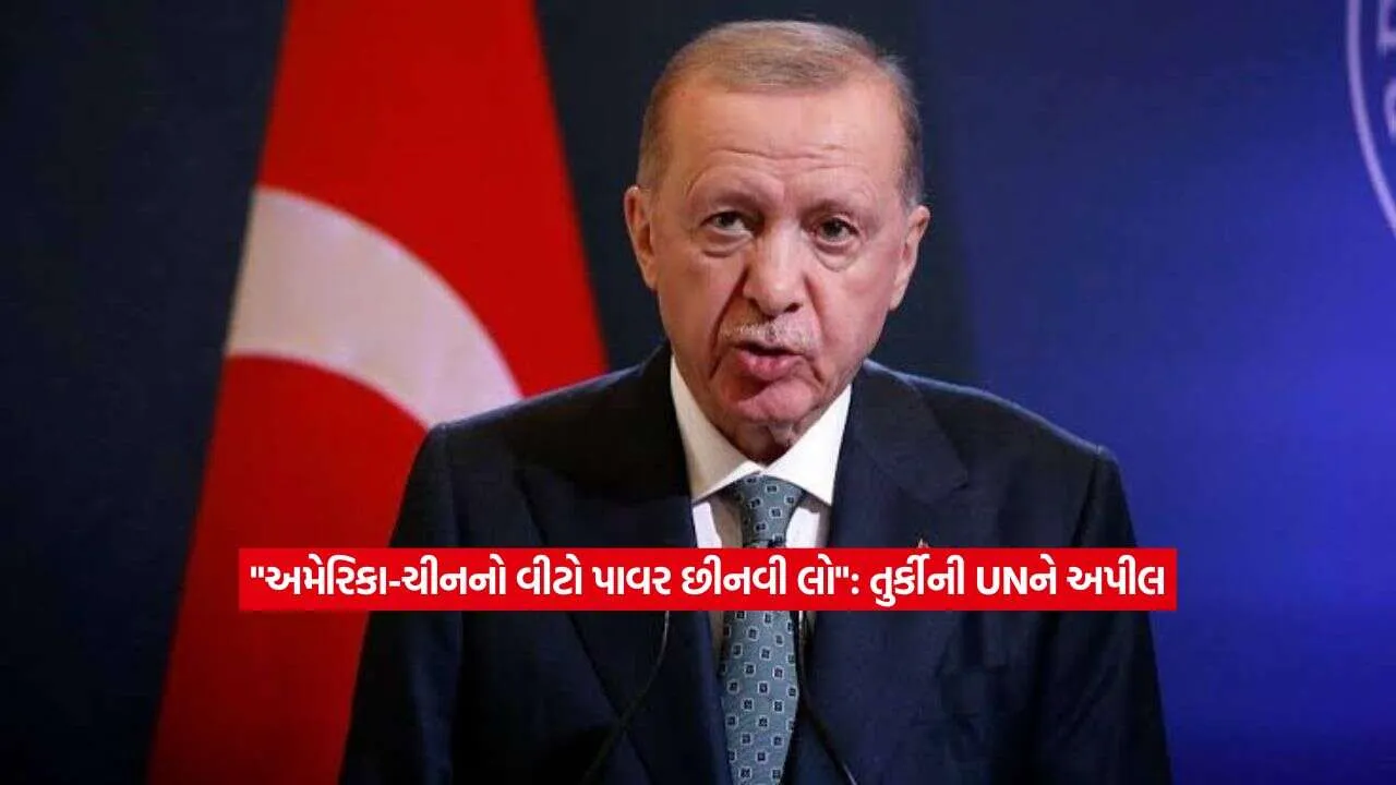 Turkish President2.jpg