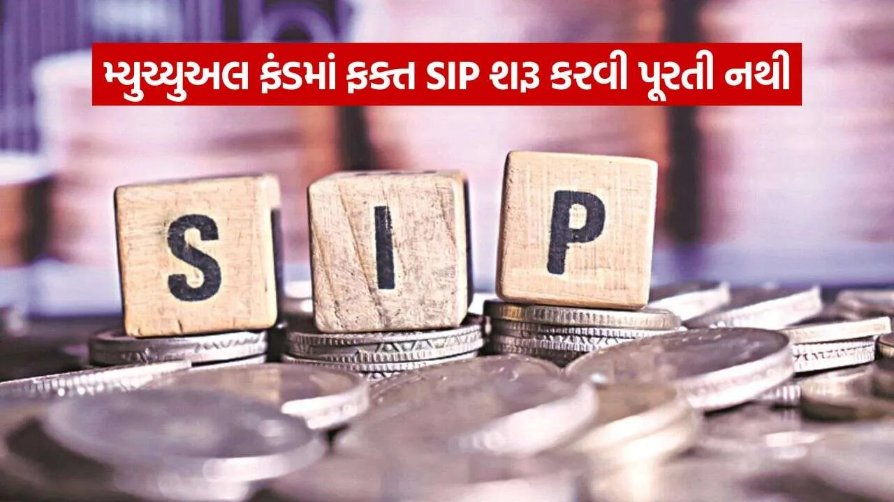 SIP 2409.jpg