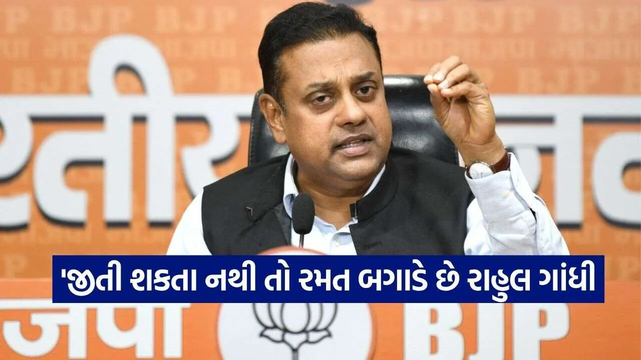Sambit Patra 2609.jpg