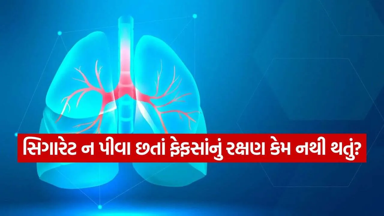 lungs 2609.jpg