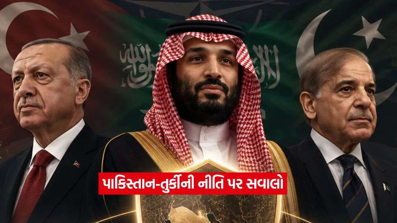 Pakistan Turkiye Policy1.jpg