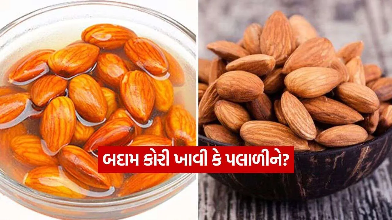 Almond 2809.jpg