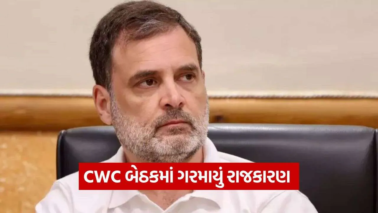 Rahul Gandhi 2909.jpg