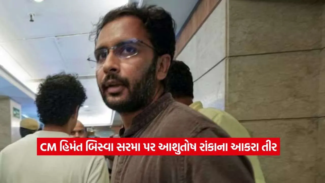 Ashutosh Ranka2.jpg