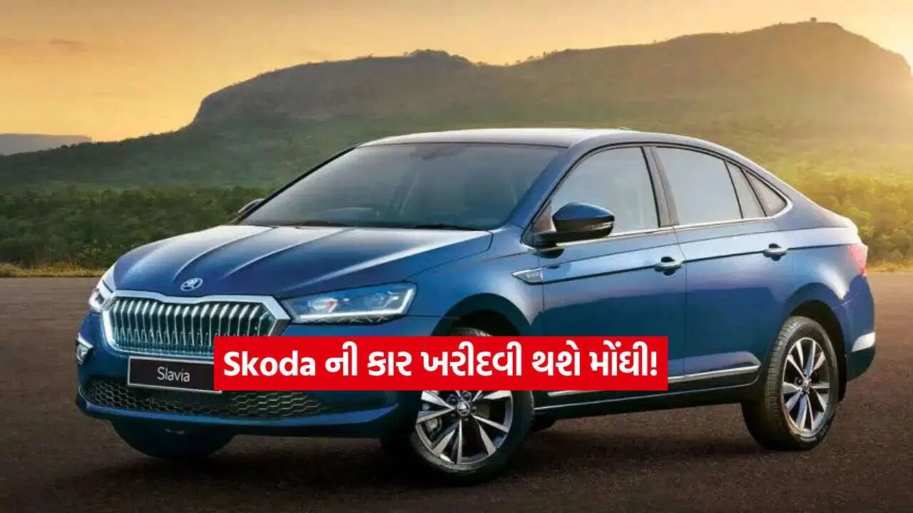 Skoda car2.jpg