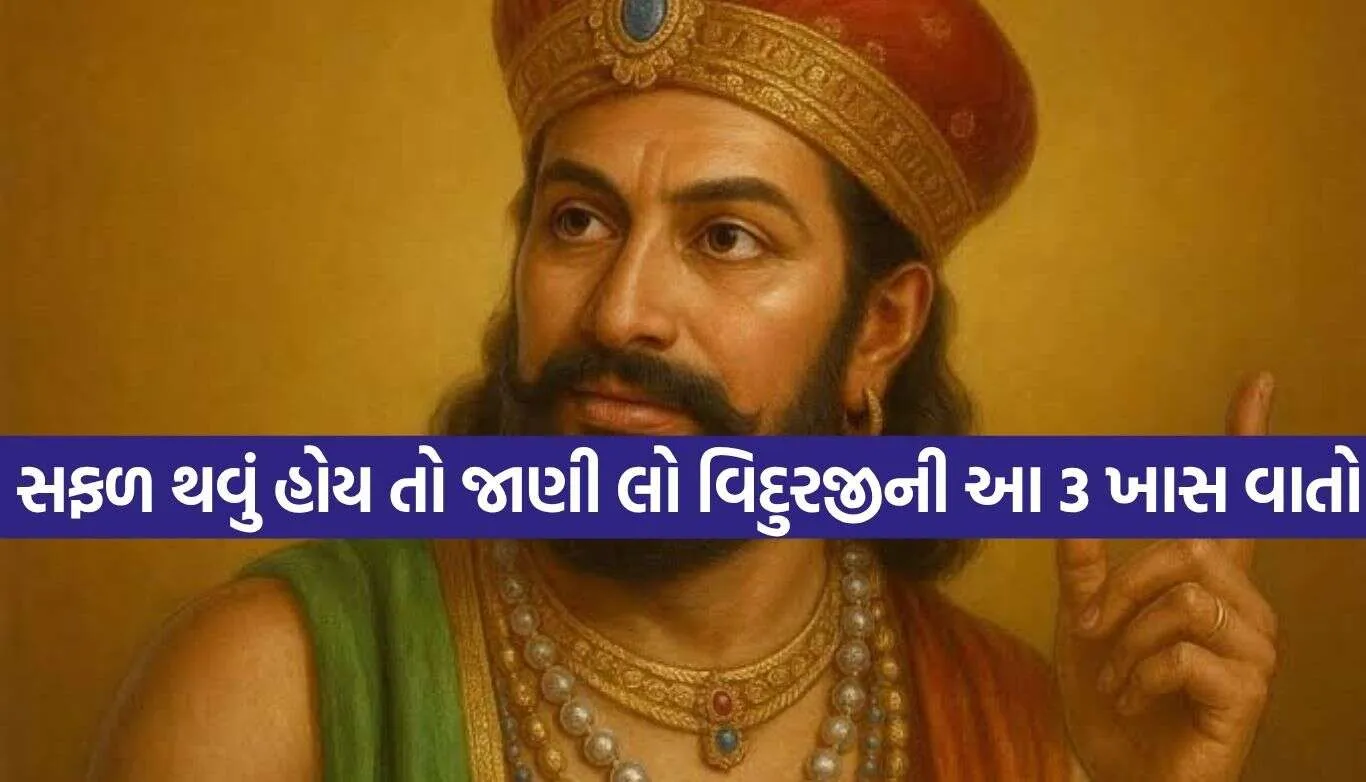 Vidur Niti