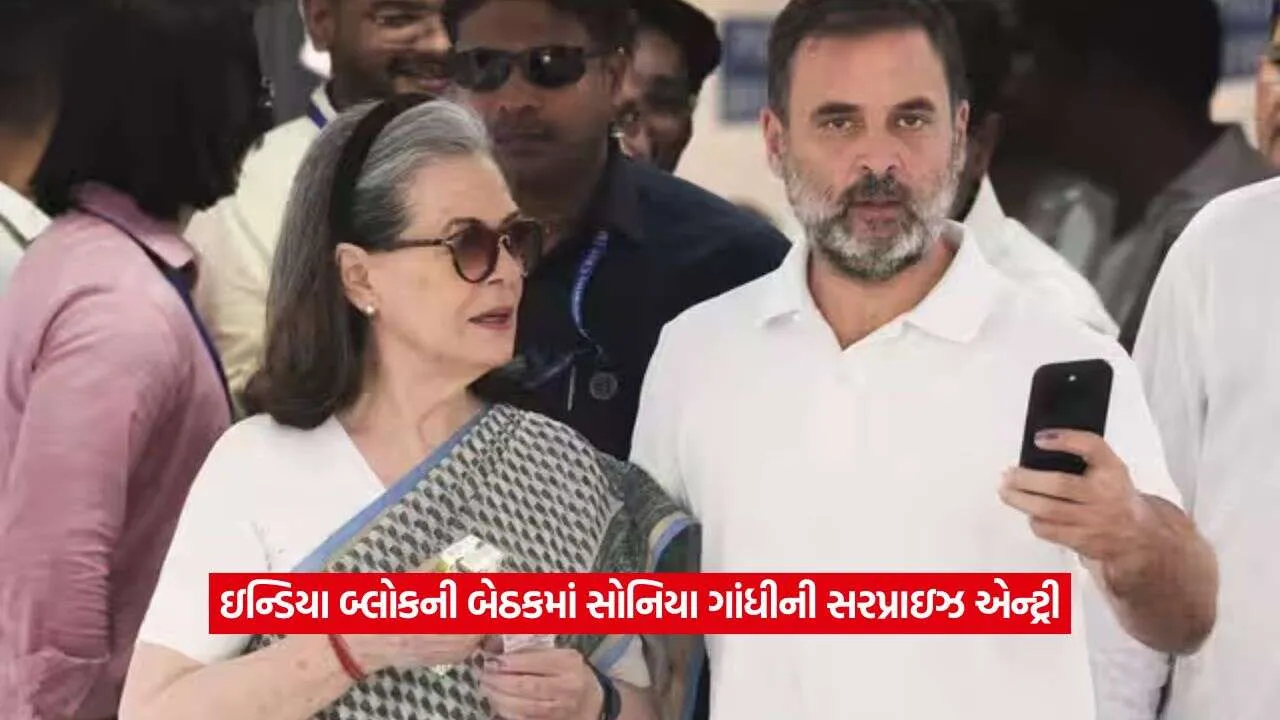 sonia gandhi2.jpg