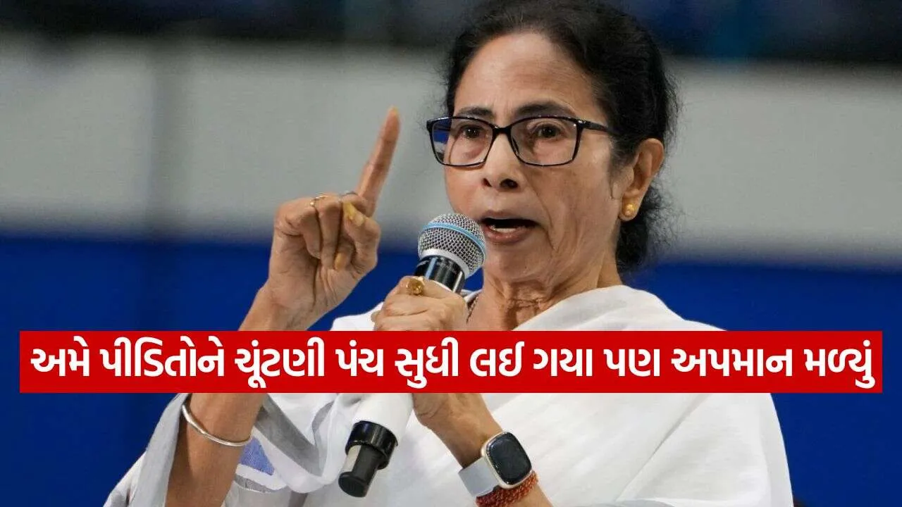Mamata Banerjee 0110.jpg