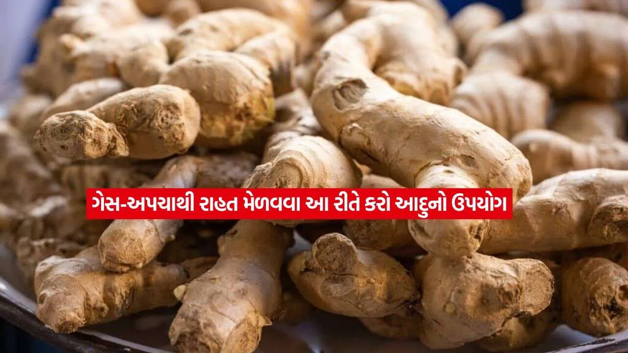 ginger2.jpg