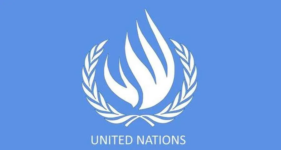 UN Panel