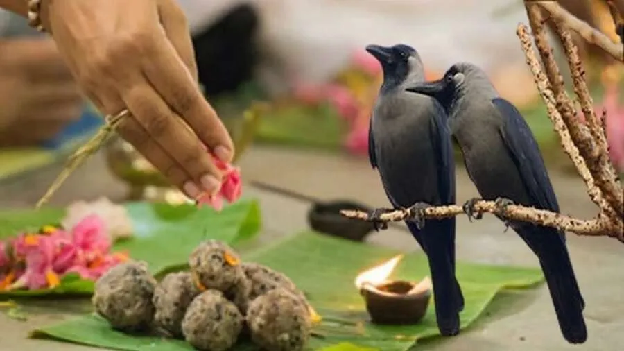 Pitru Paksha