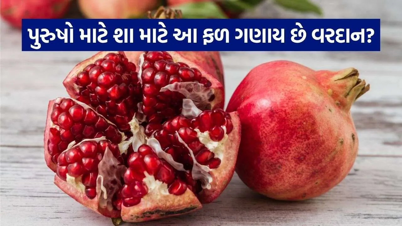 Pomegranate 0310.jpg