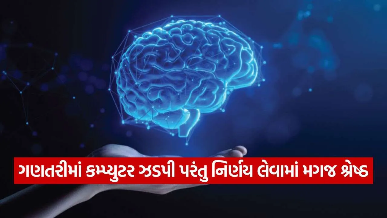 Brain 0310.jpg