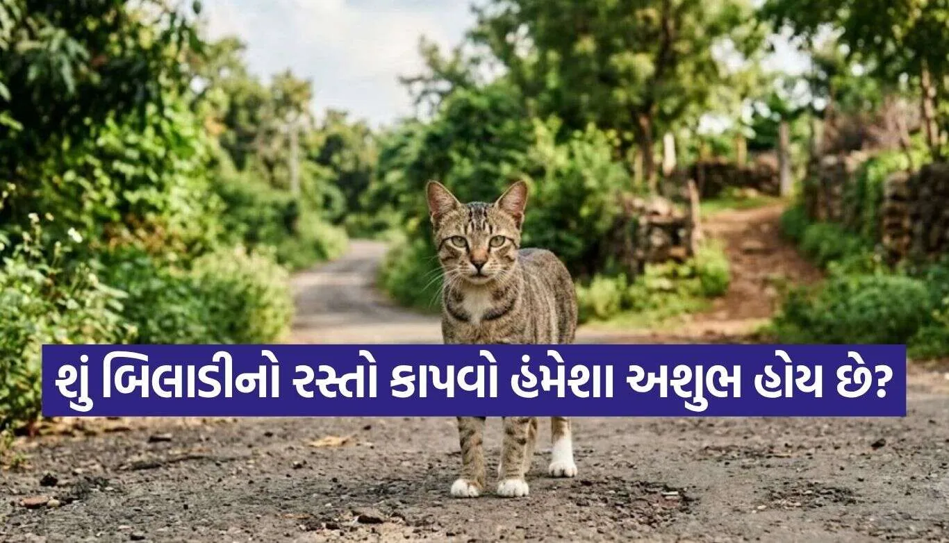 Shakun Shastra