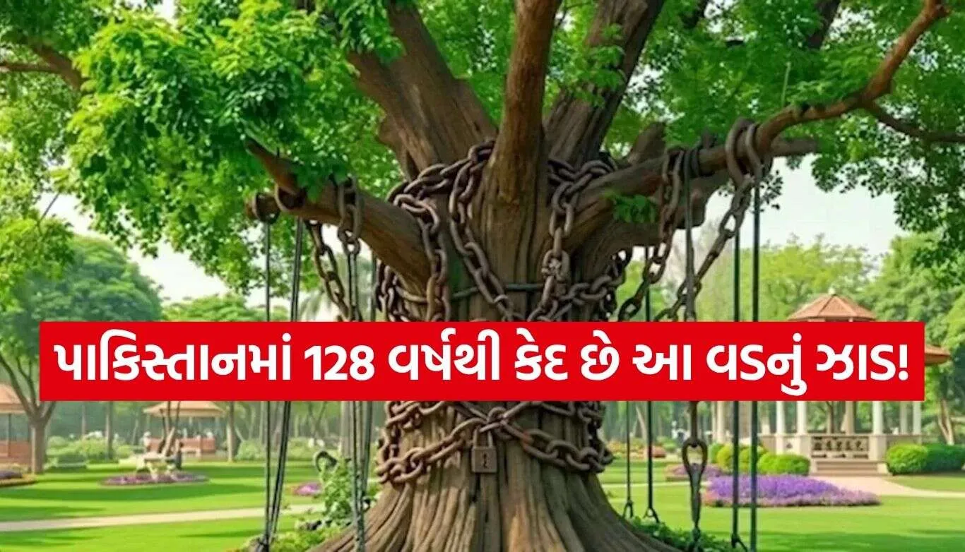 Banyan Tree