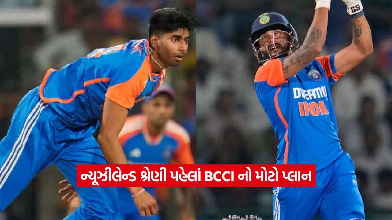 cricket2.jpg