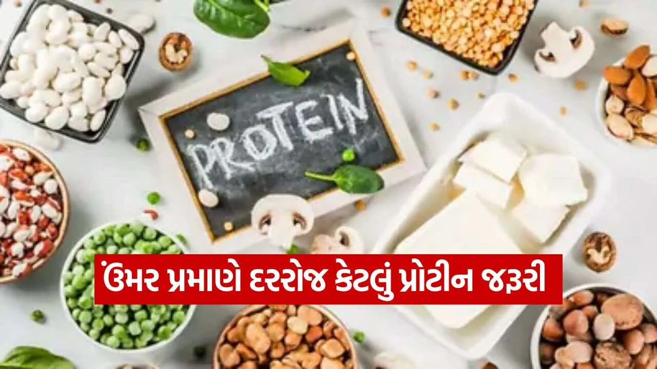 Protein 0610.jpg