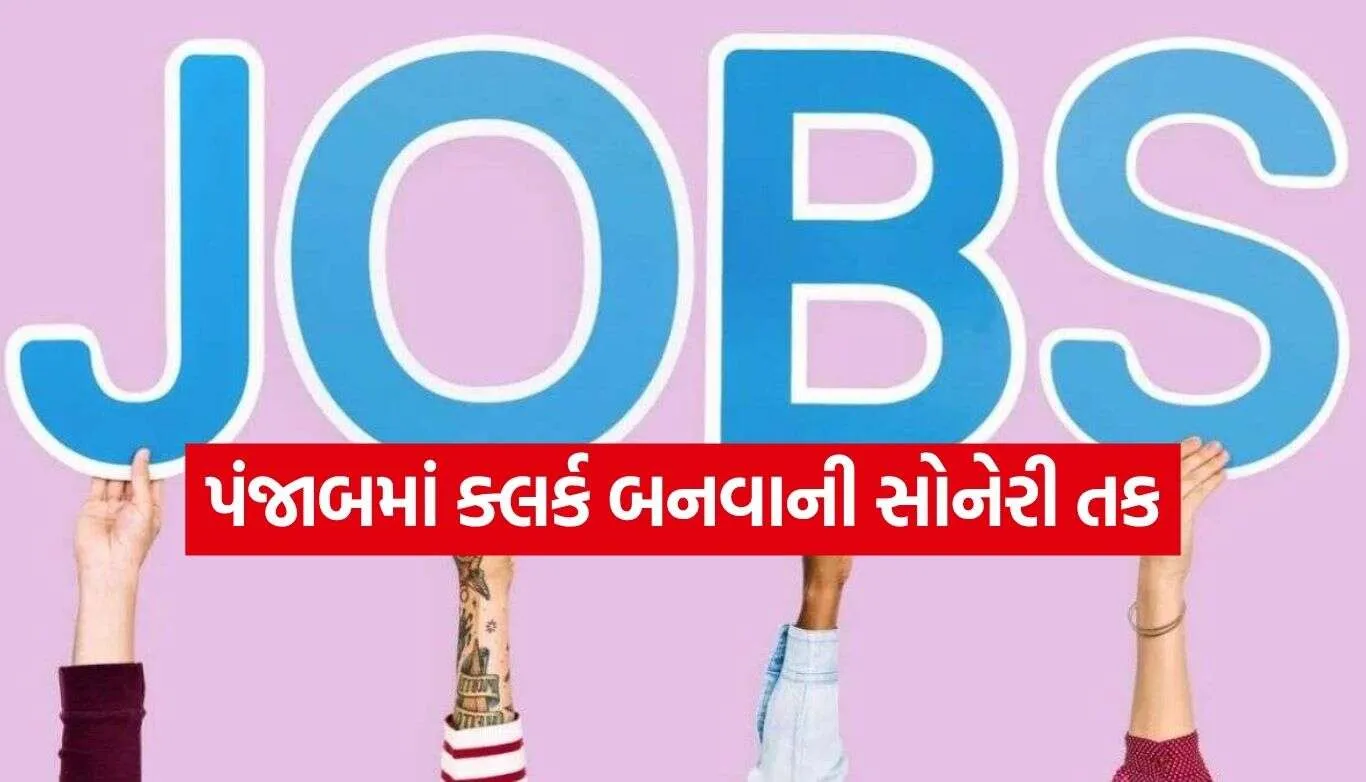 Clerk Job