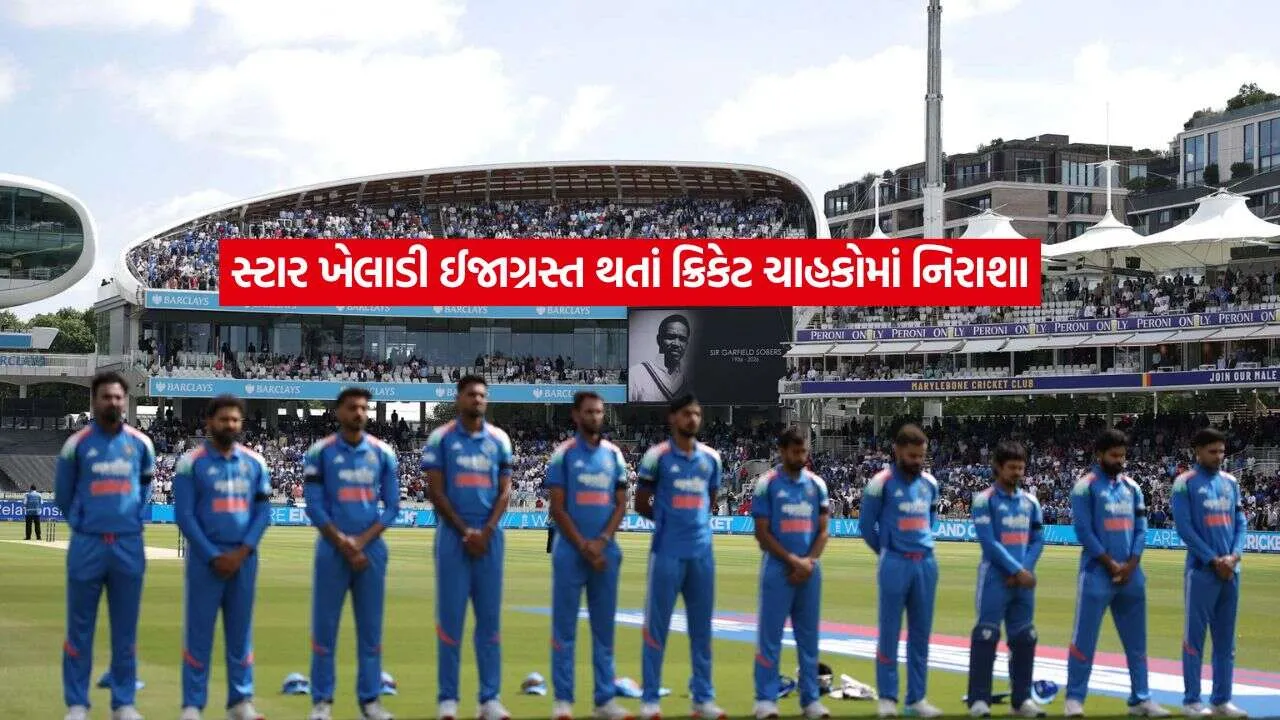 cricket2.jpg