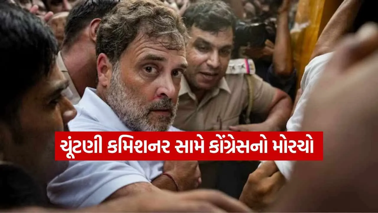 Rahul Gandhi 0610 1.jpg