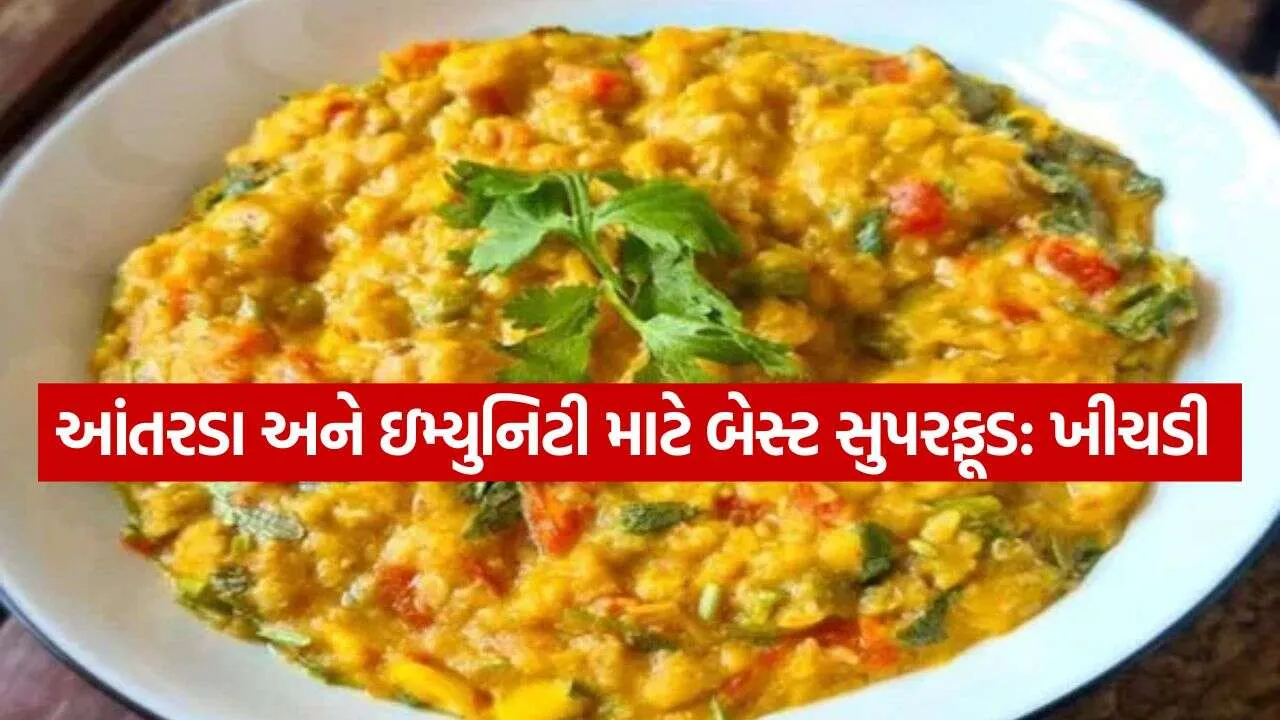 Khichdi 0610.jpg