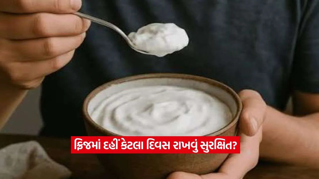 curd2.jpg