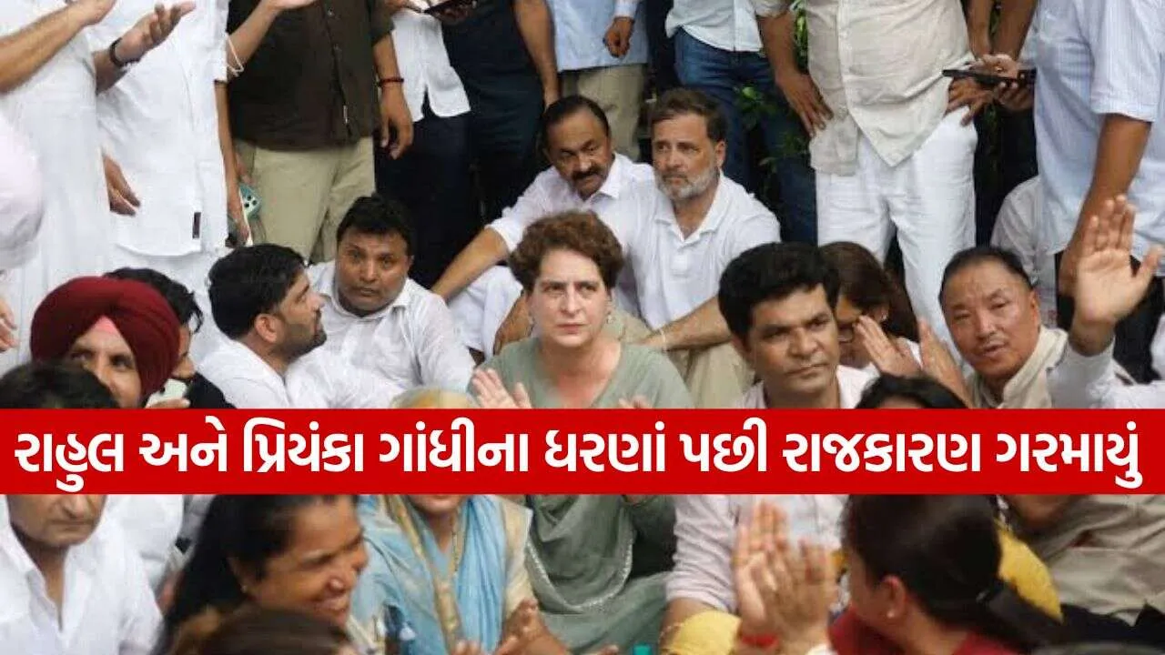 Rahul Gandhi 0710.jpg