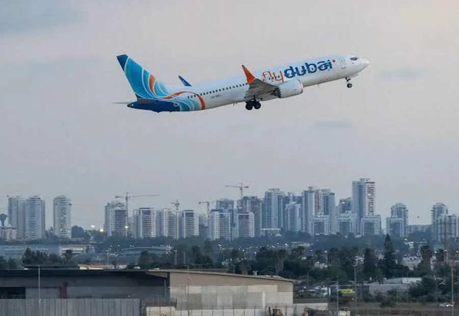 fly1.jpg
