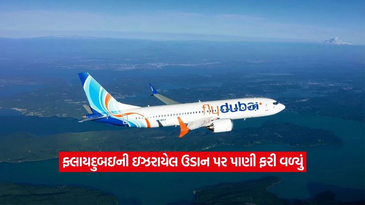 fly2.jpg