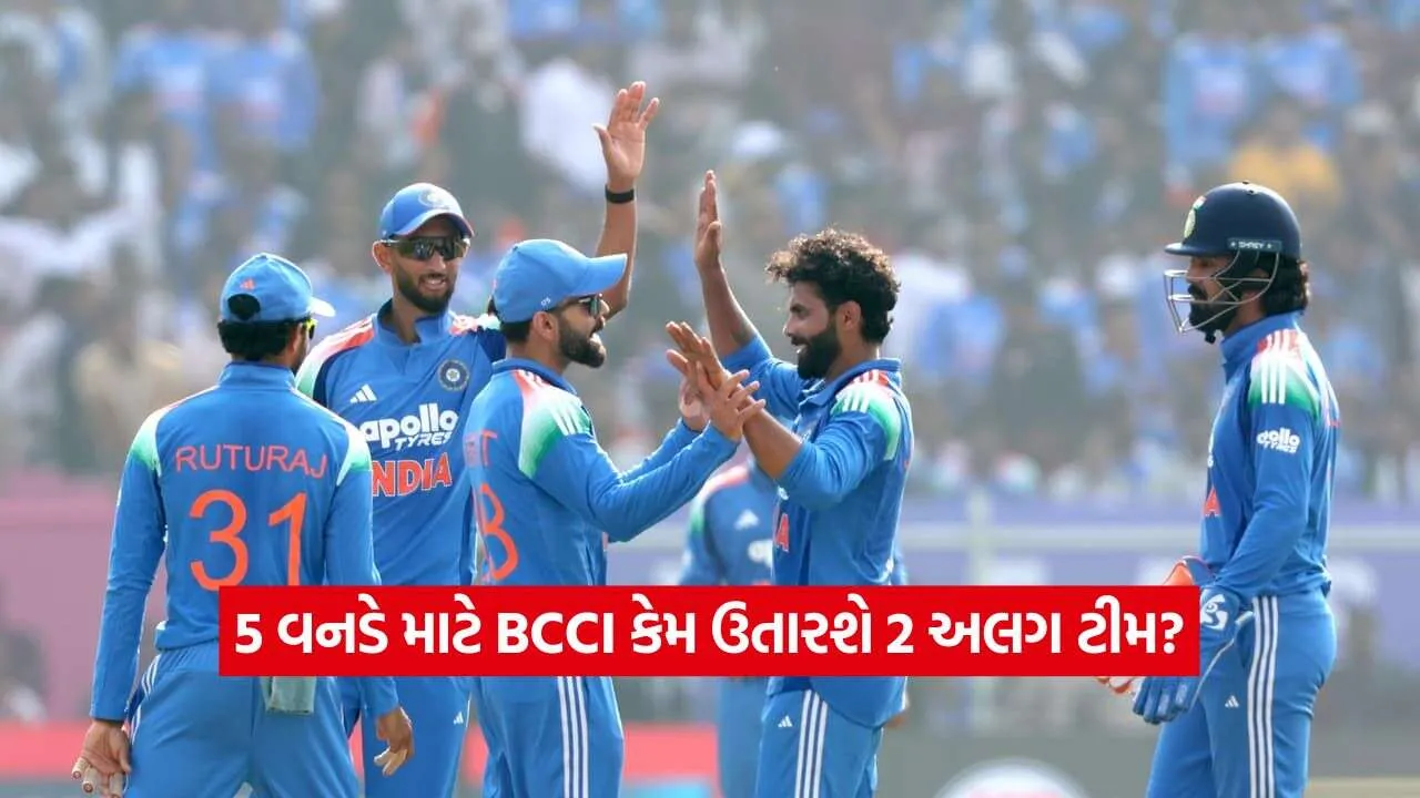 cricket2.jpg