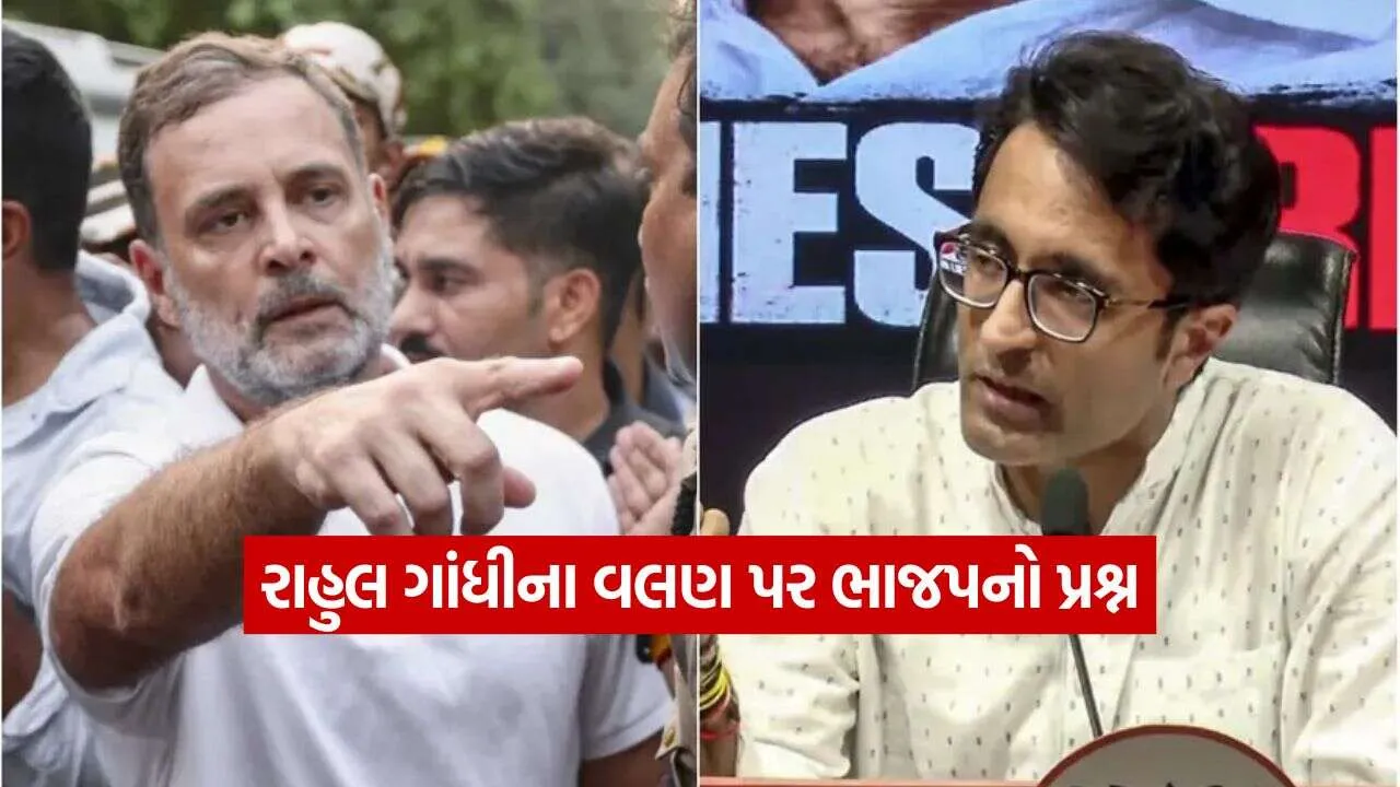 Rahul Gandhi 0910.jpg