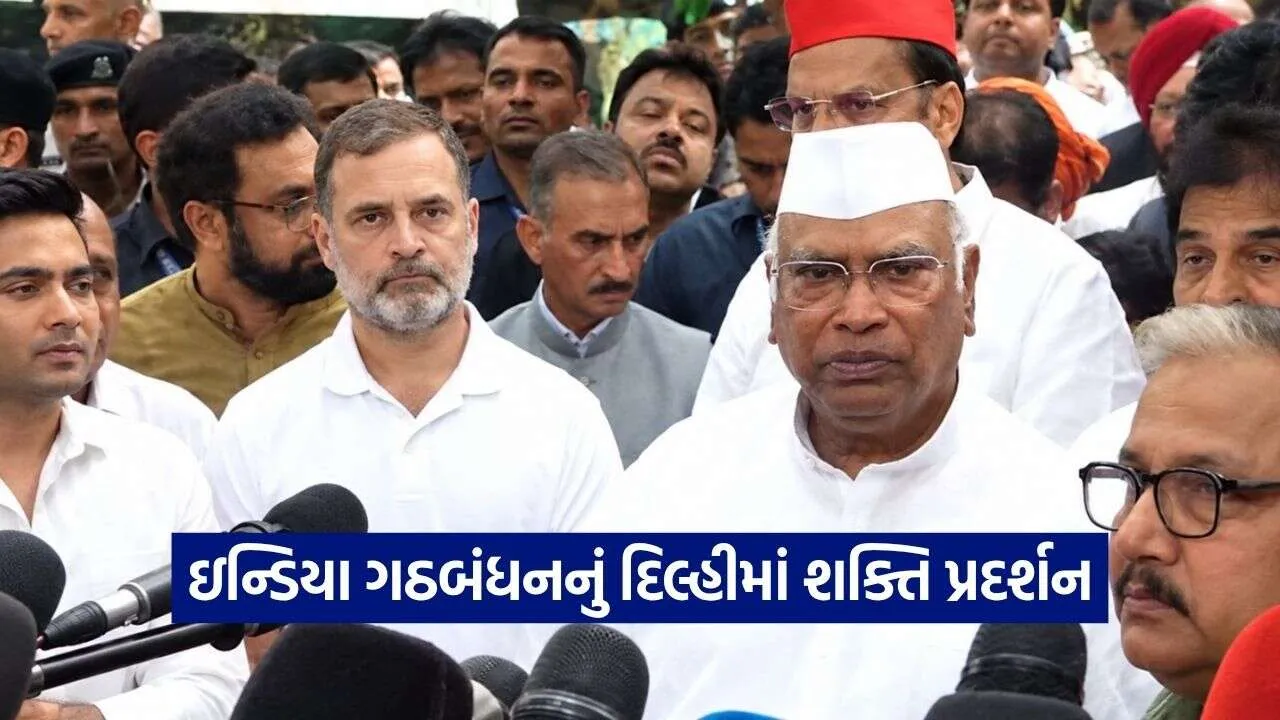 India alliance 0910.jpg