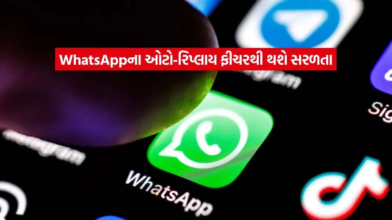 whatapp.jpg