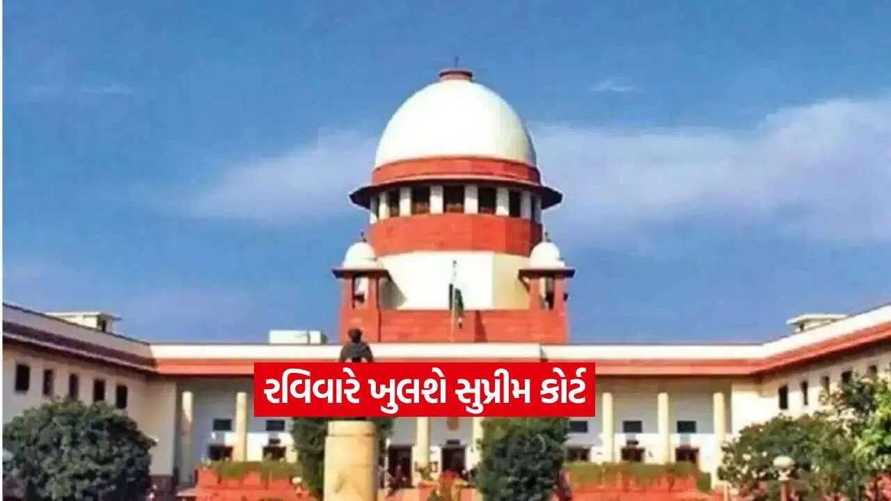 court3.jpg