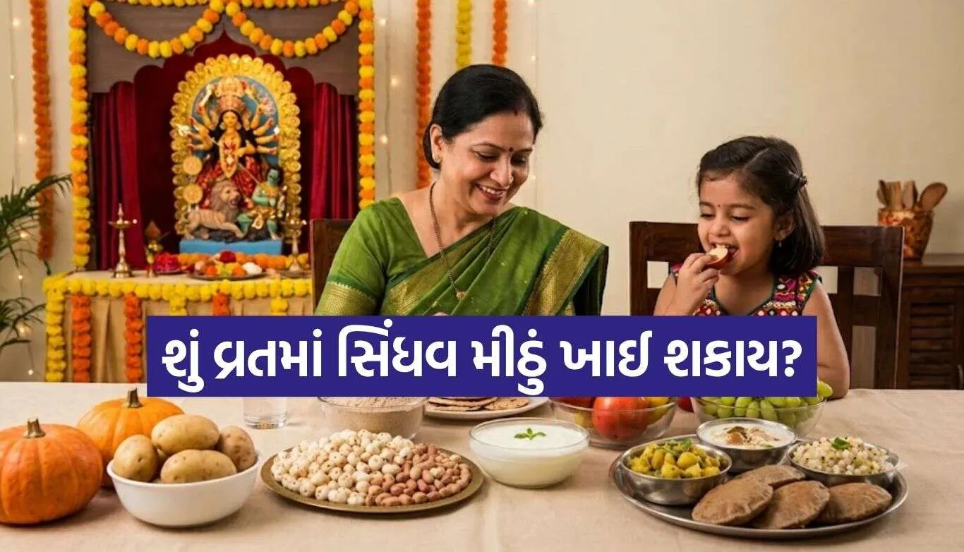 Navratri Vrat