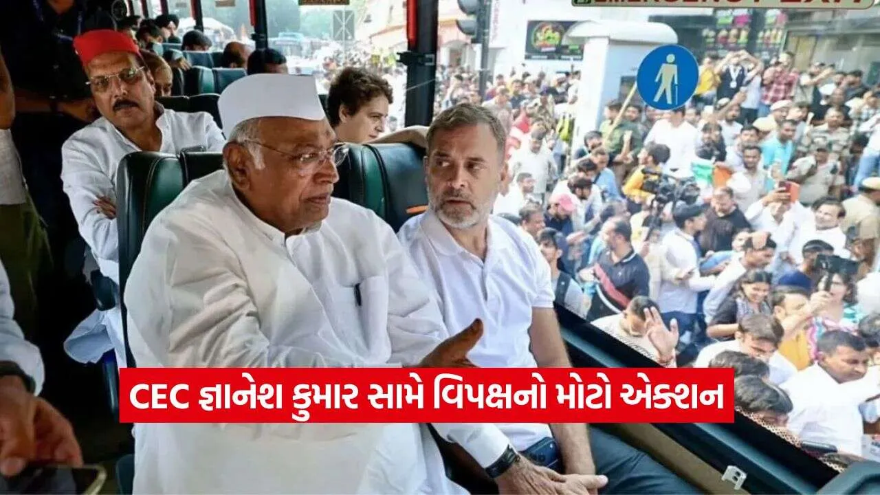 rahul gandhi2.jpg