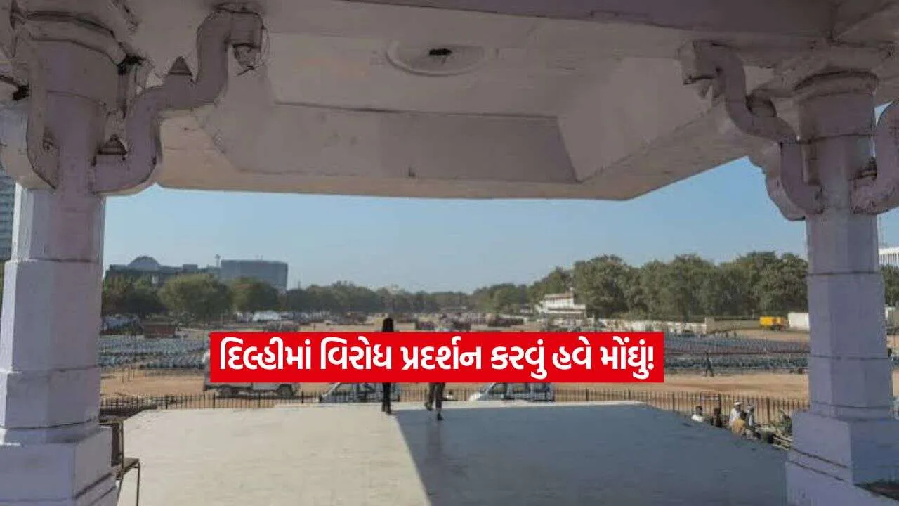 delhi2.jpg