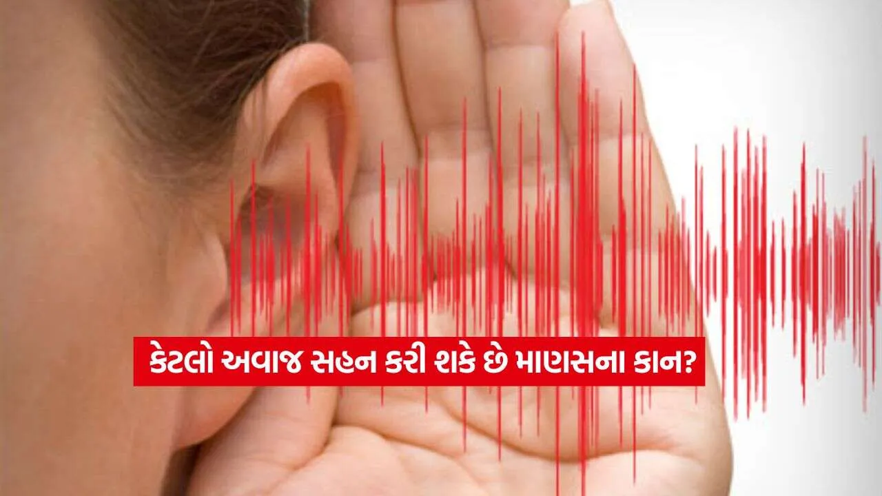 Ear Capacity.jpg