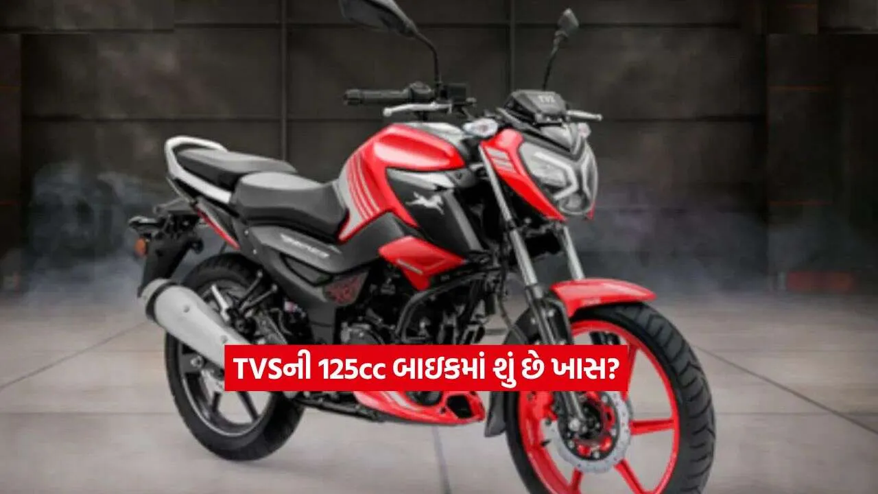 TVS Raider 1252.jpg