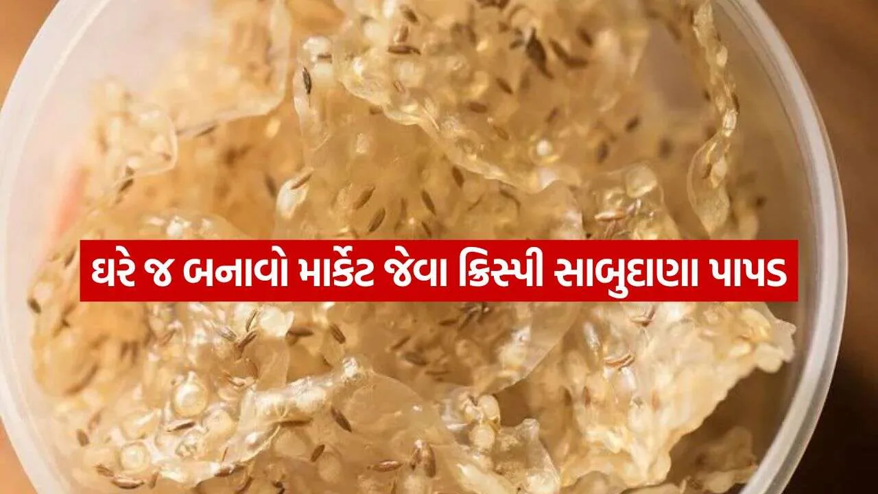 Sabudana papad 1610.jpg