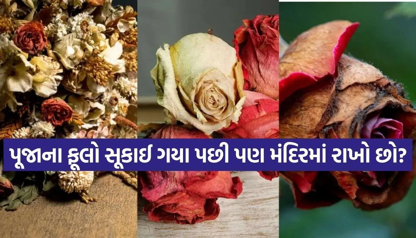 Dry Flowers