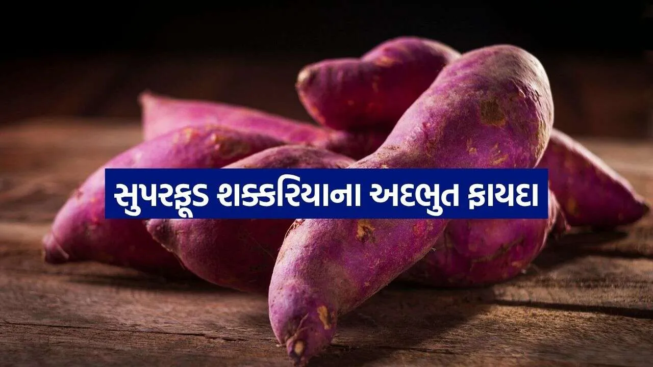 Sweet Potato 1810.jpg