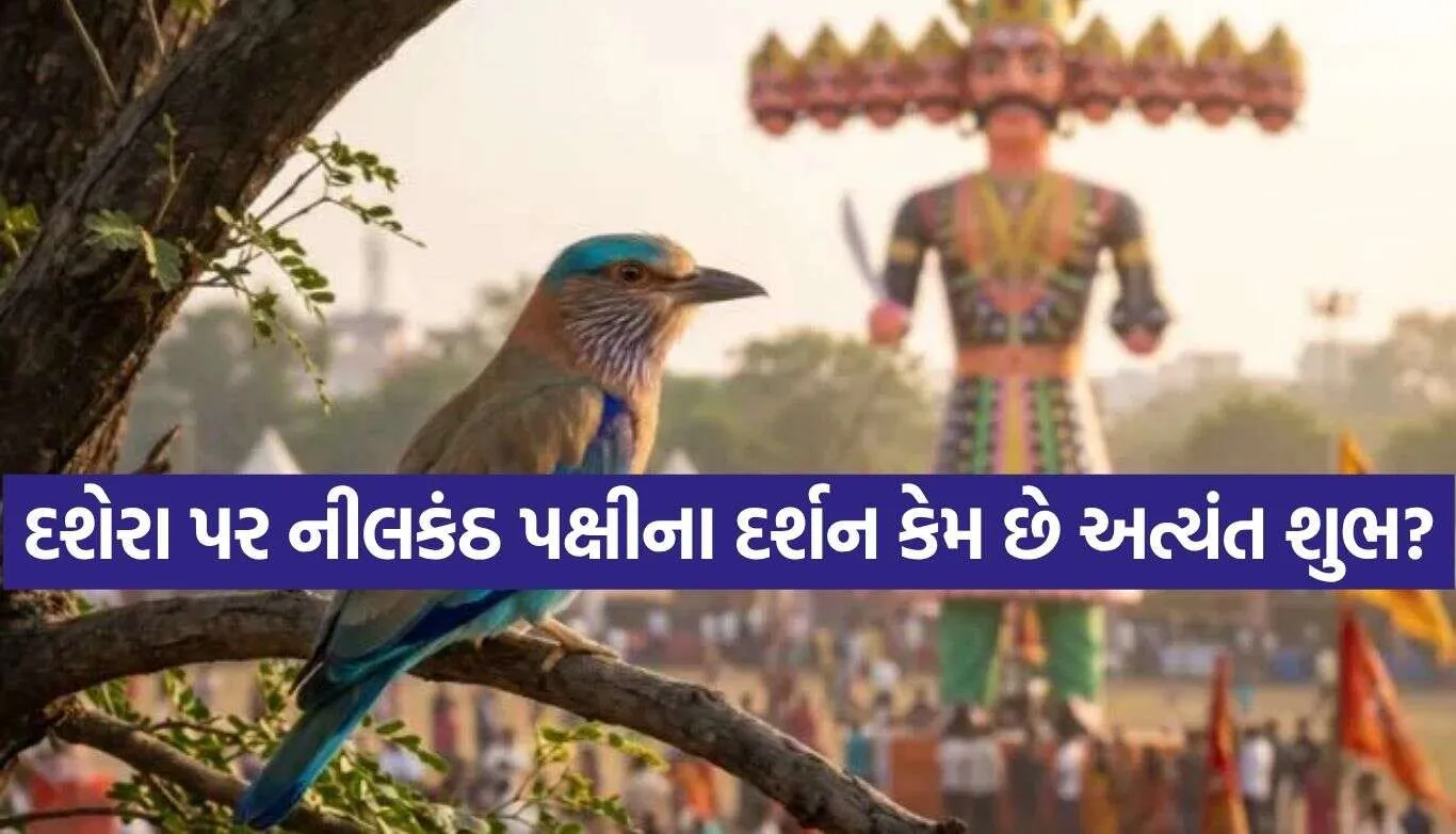 Neelkanth Bird.jpg