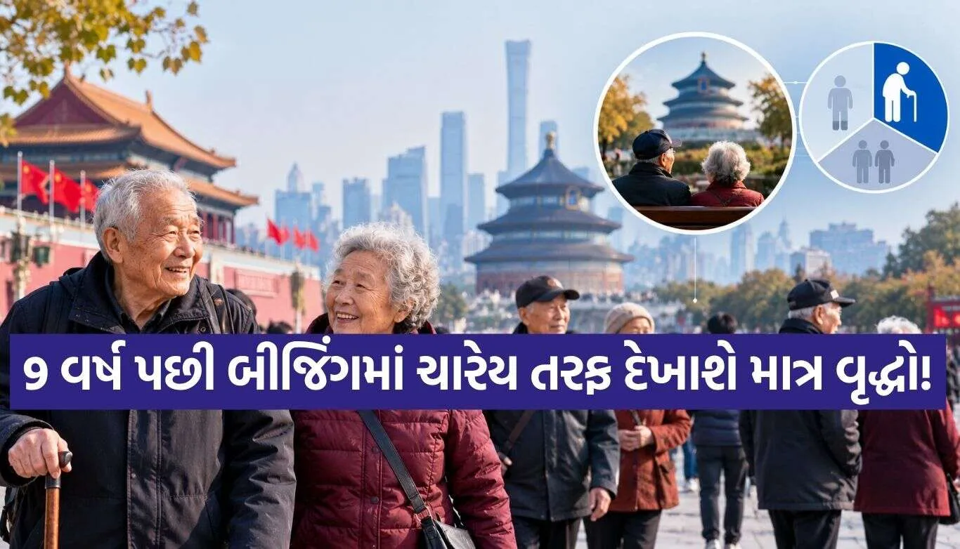 Elderly Population