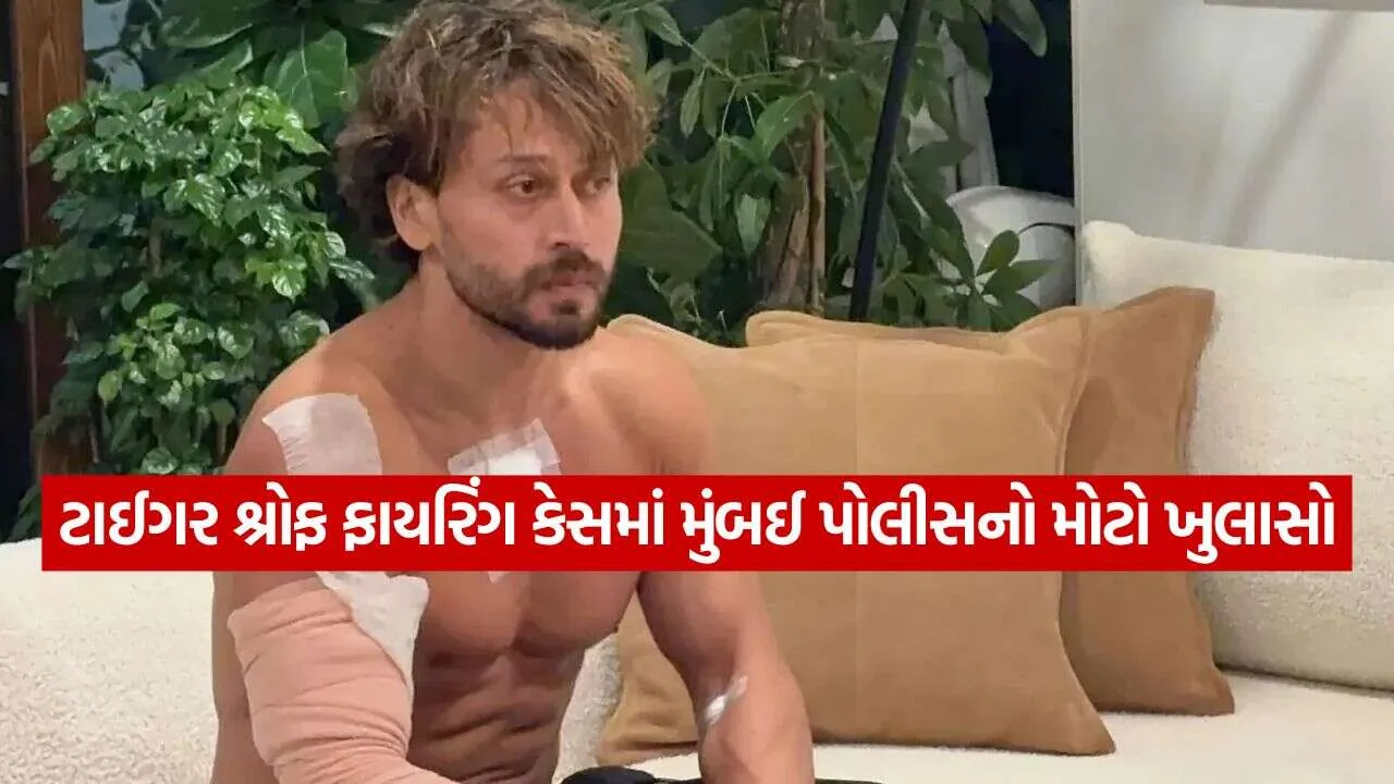 ઘરથી લઈને ફૂટબોલ ગ્રાઉન્ડ સુધી કરવામાં આવી હતી રેકી 1 Tiger Shroff firing case 1810.jpg