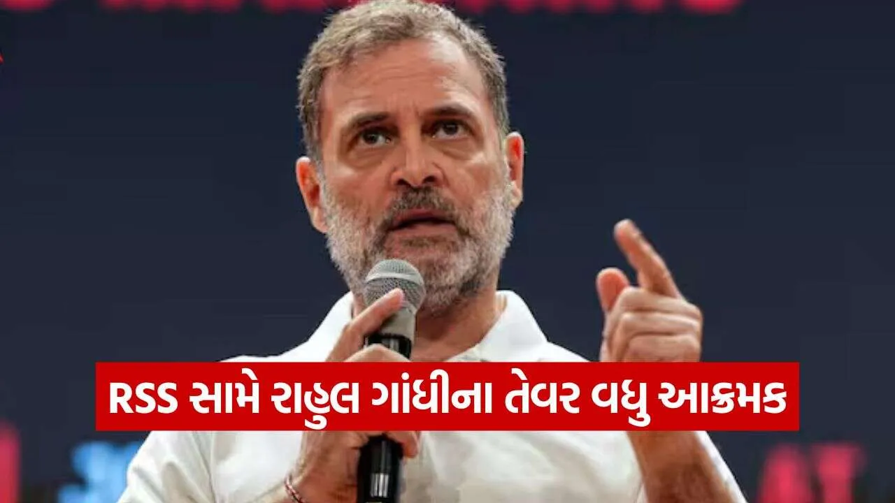 Rahul Gandhi 2010.jpg