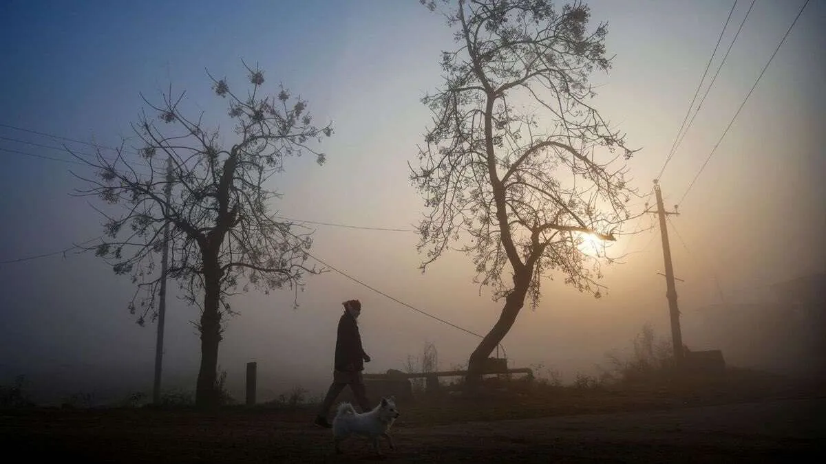 ઉત્તર ભારતમાં વહેલી સવારની ગુલાબી ઠંડી 2 Weather 11.jpg