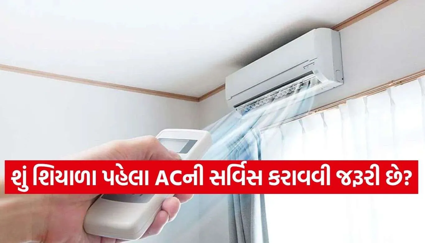 AC Care Tips.jpg